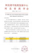 仲景六味地黄丸、逍遥丸入围2022冬奥会中医药展馆优质中成药品种